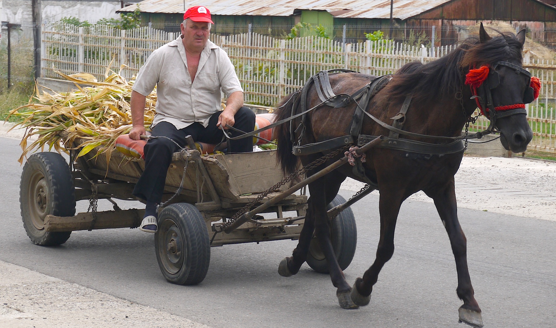 Image result for "horse and cart" Romania