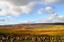 Barden moor, our most recent moorland walk, about 1/2 hour in the car from home